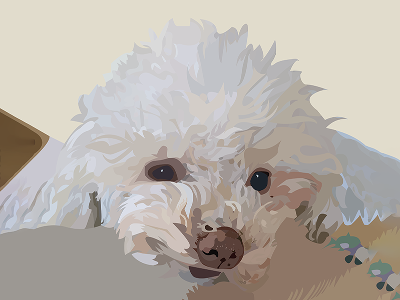 Koda
