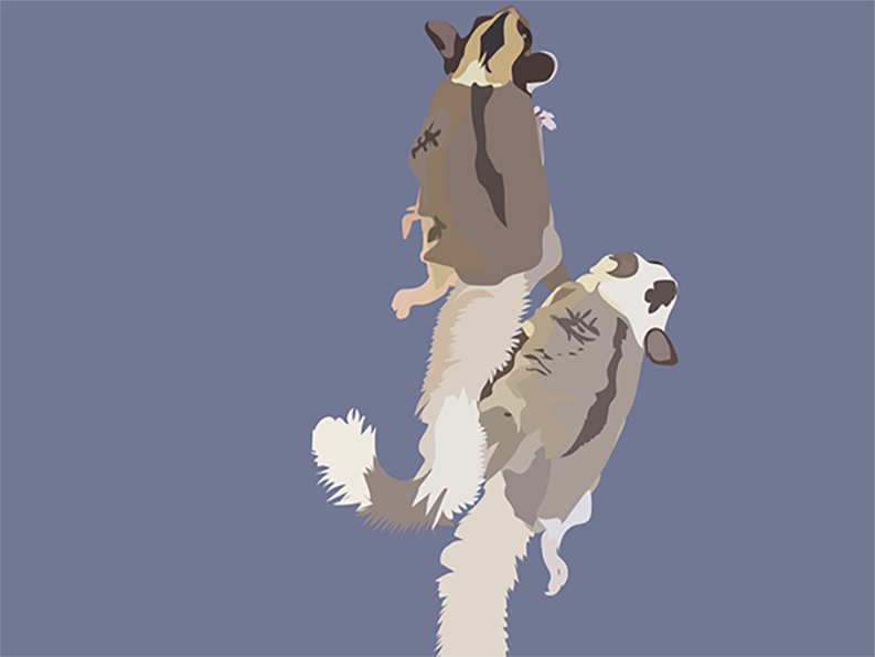 Sachi and Meeka