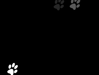 Walking Puppy Prints